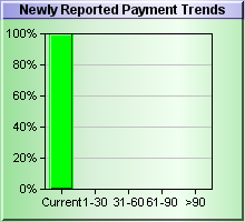 Newly Reported Payment DBT Chart